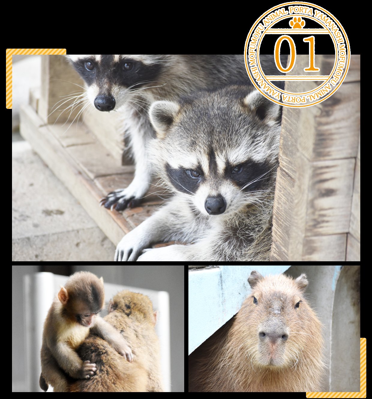 🏞️ 만리키 공원 (만요노모리) 이미지 9